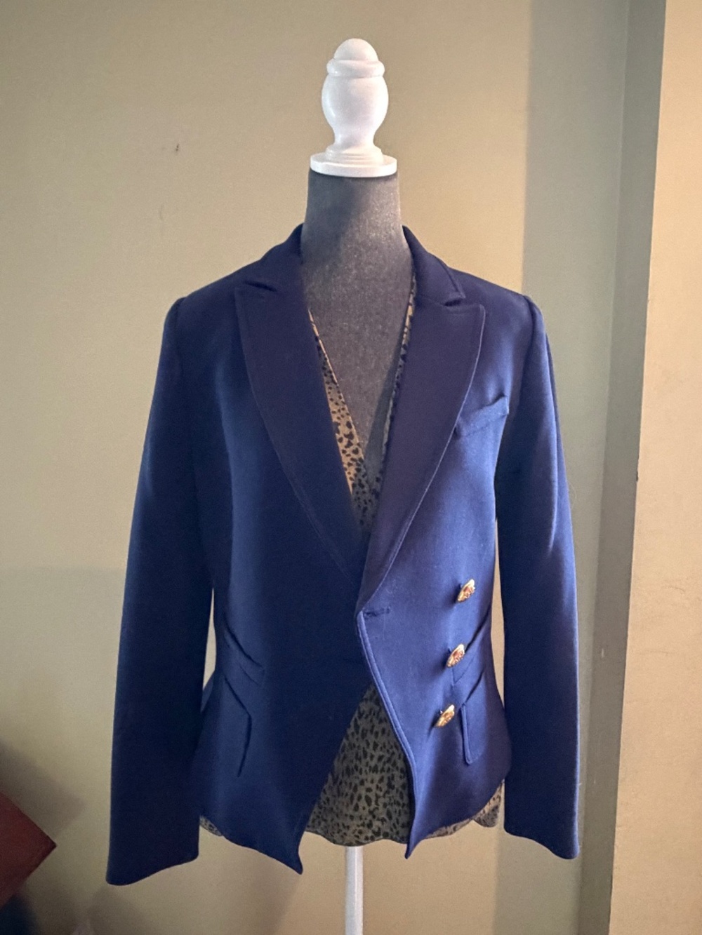 Blazer and Blouse